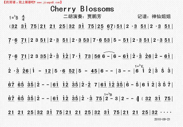Cherry Blossoms简谱
