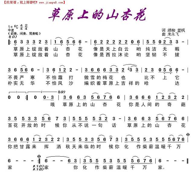 草原上的山杏花简谱