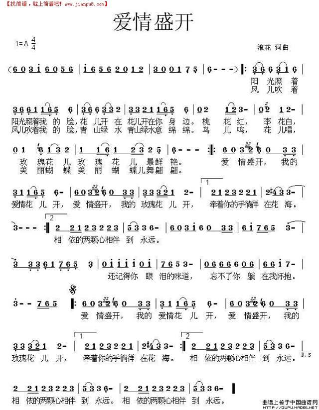 爱情盛开简谱
