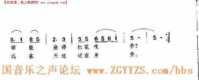 山中的凤凰为何不飞翔简谱