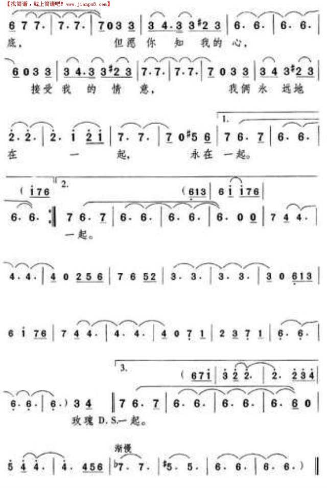 多情的玫瑰简谱