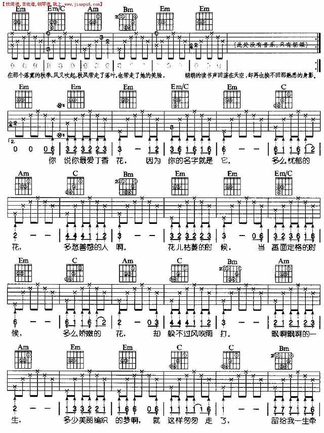 丁香花(吉他弹唱)简谱