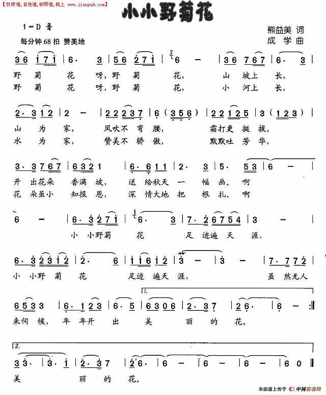 小小野菊花简谱