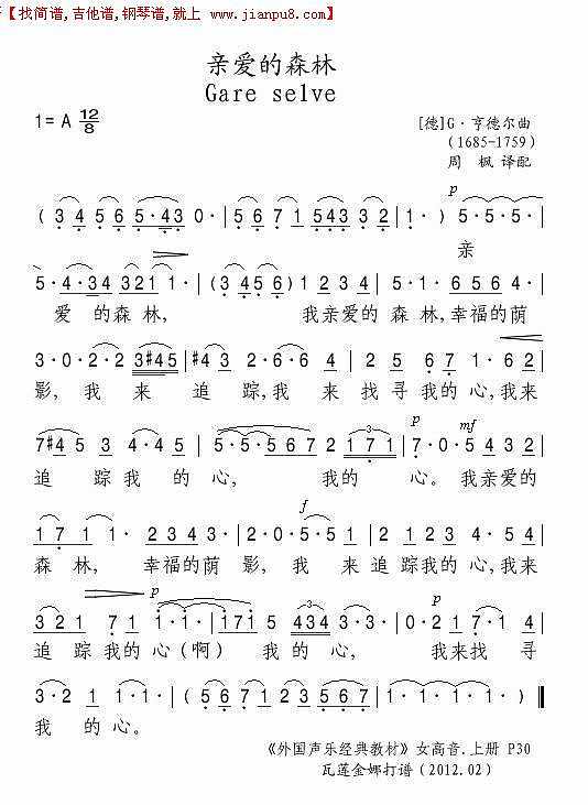 亲爱的森林简谱