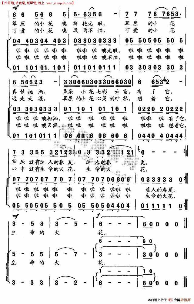 草原的小花简谱