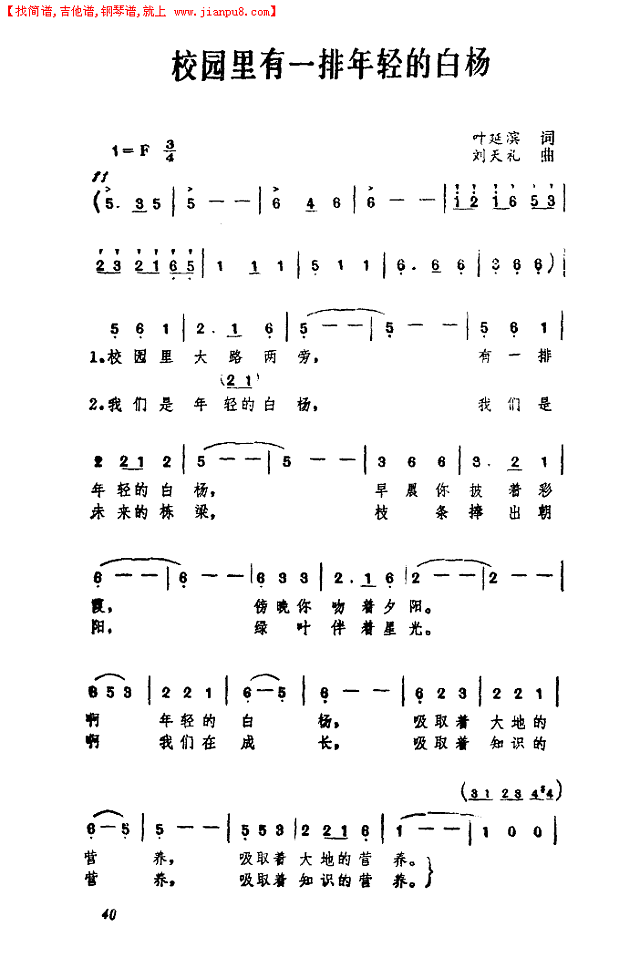 校园里有一排年轻的白杨简谱