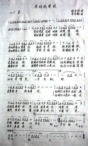 卓玛我爱你简谱