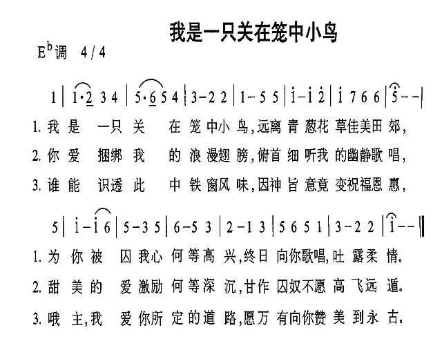 我是一只关在笼中小鸟简谱