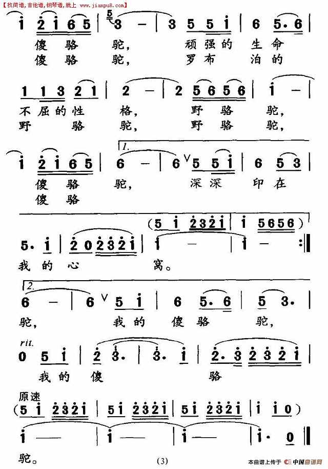 野骆驼 傻骆驼简谱