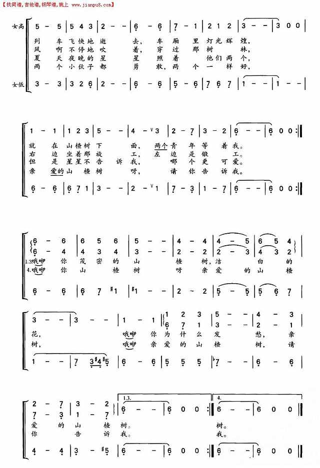 山楂树（女声合唱）简谱