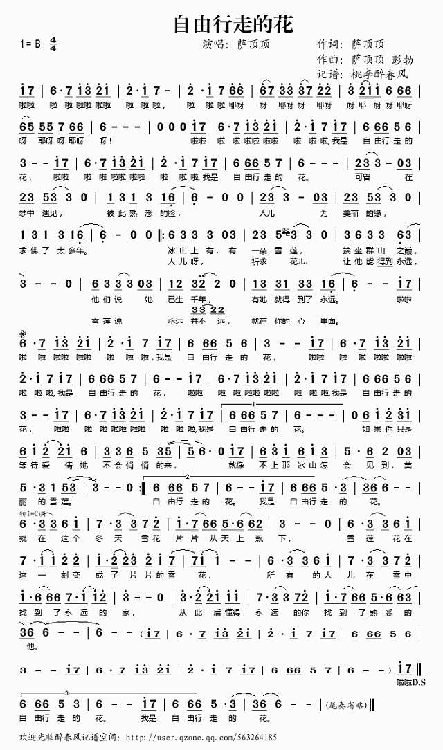 自由行走的花简谱
