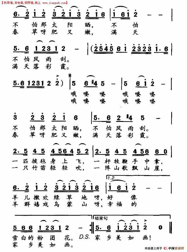 山里放羊娃简谱