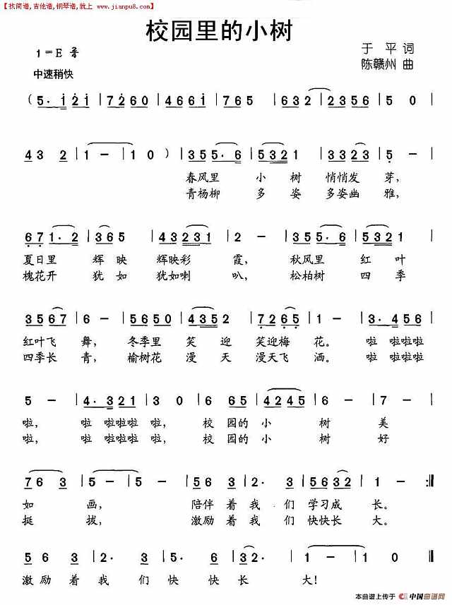 校园里的小树简谱