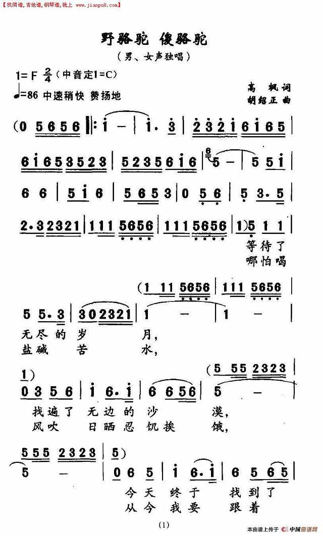 野骆驼 傻骆驼简谱