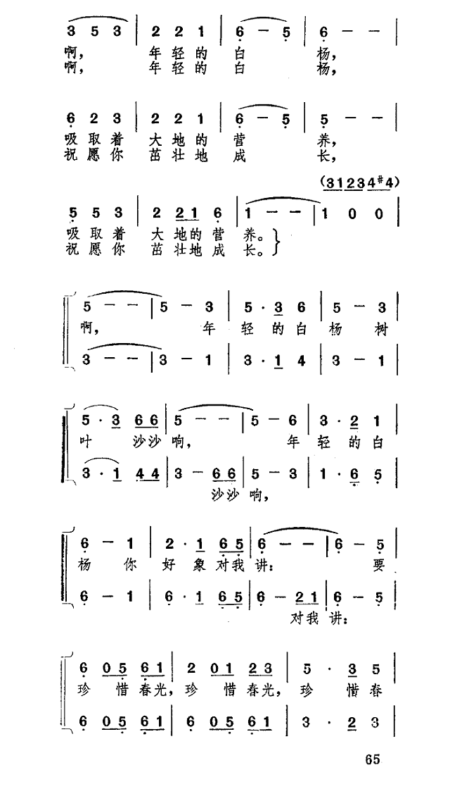 校园里有一排年轻的白杨简谱