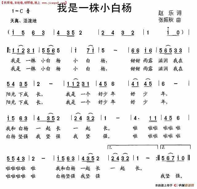 我是一株小白杨简谱