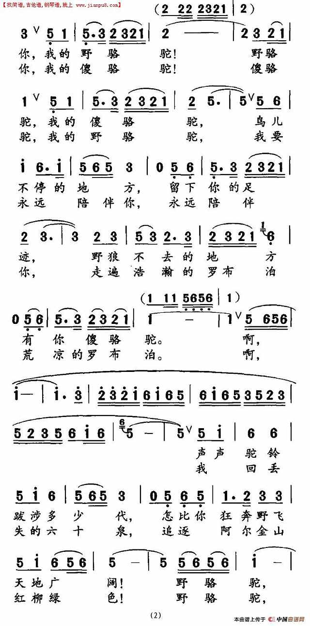 野骆驼 傻骆驼简谱